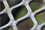 wiremesh